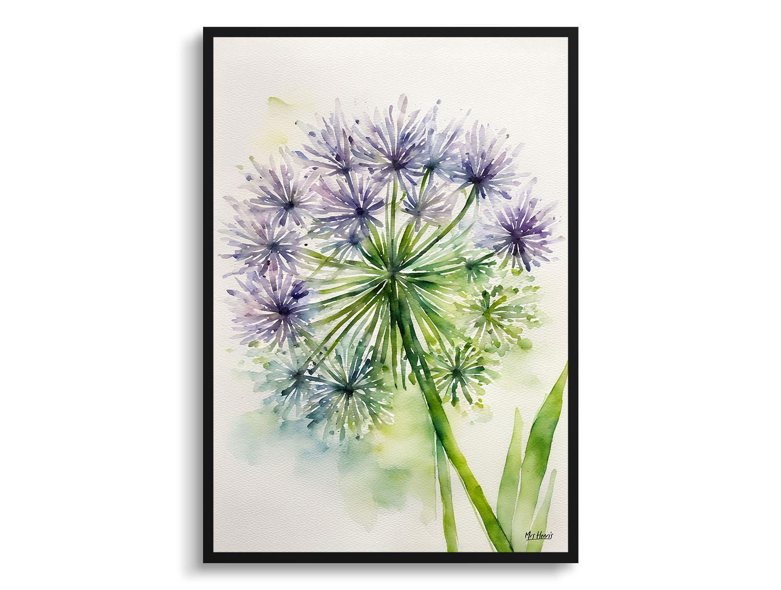 Allium Nigrum Minimalist Watercolour Botanical Art Print - Crow Wild Garlic Framed Plant Wall Art 3 Allium Nigrum Minimalist Watercolour Botanical Art Print - Crow Wild Garlic Framed Plant Wall Art