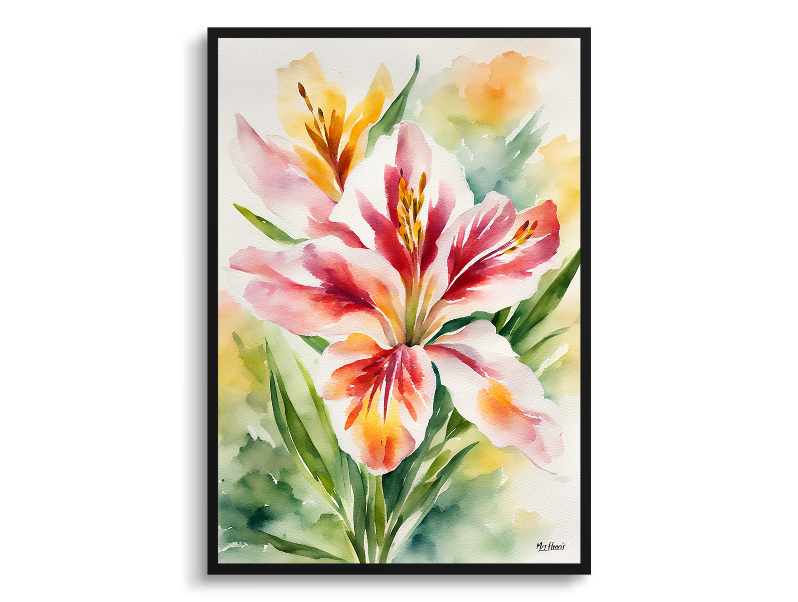Alstroemeria Watercolour Botanical Art Print - Peruvian Lily of the Incas Framed Plant Wall Art 3 Alstroemeria Watercolour Botanical Art Print - Peruvian Lily of the Incas Framed Plant Wall Art