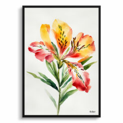 Alstroemeria Minimalist Watercolour Botanical Art Print - Peruvian Lily of the Incas Framed Plant Wall Art