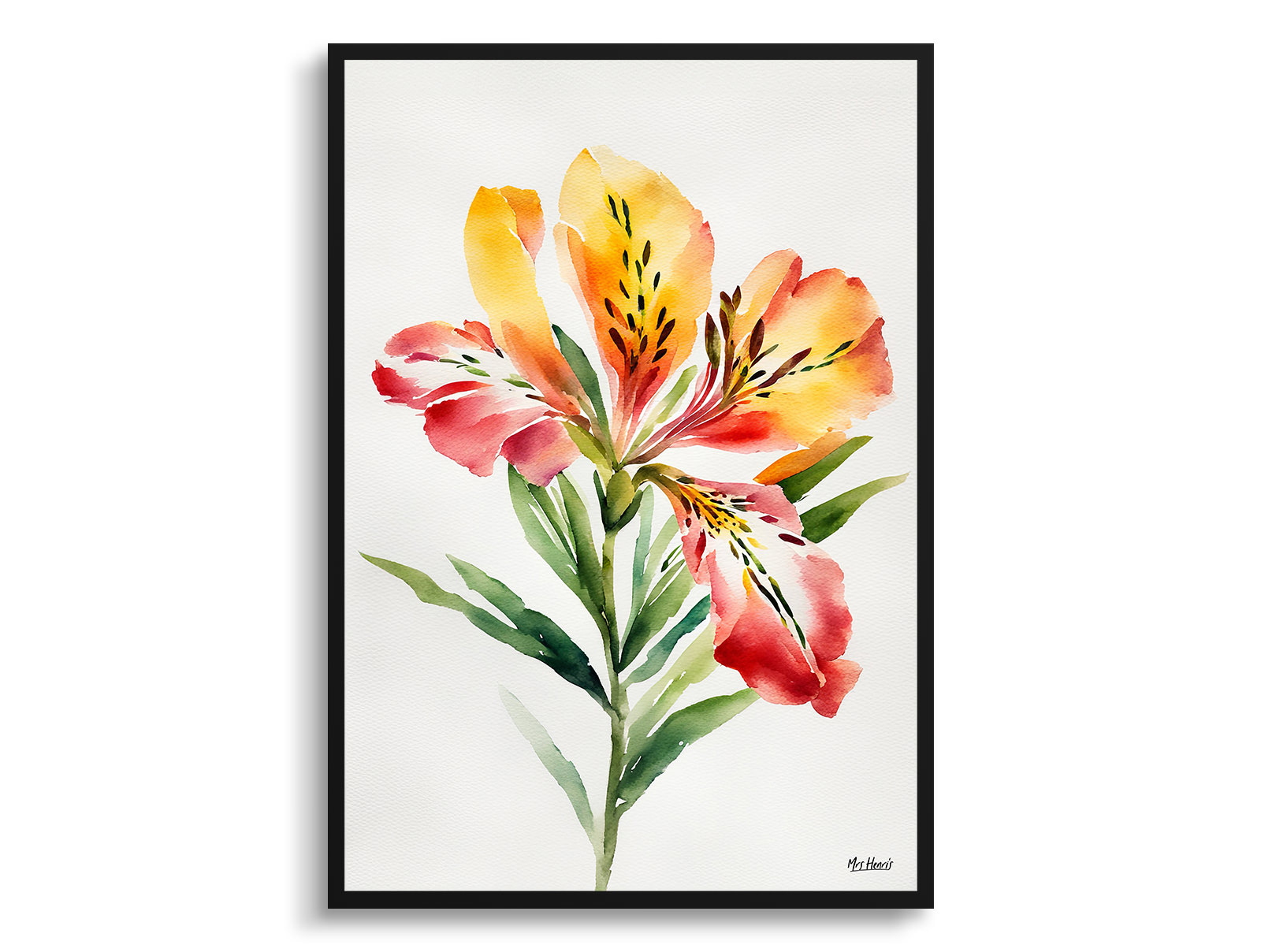 Alstroemeria Minimalist Watercolour Botanical Art Print - Peruvian Lily of the Incas Framed Plant Wall Art 3 Alstroemeria Minimalist Watercolour Botanical Art Print - Peruvian Lily of the Incas Framed Plant Wall Art