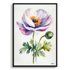 Anemone Minimalist Watercolour Botanical Art Print -  Windflower Thimbleweed Framed Plant Wall Art