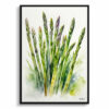 Asparagus Officinalis Watercolour Botanical Art Print - Gijnlim Framed Plant Wall Art 1 watercolour botanical print flowers asparagus officinalis gijnlim front view
