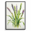 watercolour botanical print flowers asparagus officinalis gijnlim minimalist front view
