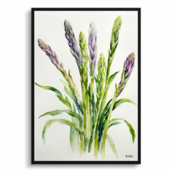 Asparagus Officinalis Minimalist Watercolour Botanical Art Print - Gijnlim Framed Plant Wall Art