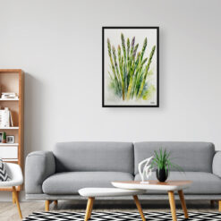Asparagus Officinalis Watercolour Botanical Art Print - Gijnlim Framed Plant Wall Art 8 watercolour botanical print flowers asparagus officinalis gijnlim office