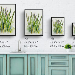 Asparagus Officinalis Watercolour Botanical Art Print - Gijnlim Framed Plant Wall Art 9 watercolour botanical print flowers asparagus officinalis gijnlim print size comparison