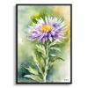 Aster Watercolour Botanical Art Print - Michaelmas Daisy Framed Plant Wall Art 2 watercolour botanical print flowers aster front view