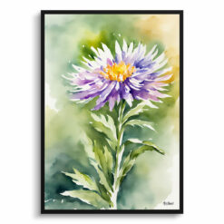 Aster Watercolour Botanical Art Print - Michaelmas Daisy Framed Plant Wall Art