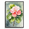 Begonia Watercolour Botanical Art Print - Wax semperflorens Framed Plant Wall Art 1 watercolour botanical print flowers begonia front view