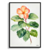 Begonia Minimalist Watercolour Botanical Art Print - Wax semperflorens Framed Plant Wall Art 1 watercolour botanical print flowers begonia minimalist front view