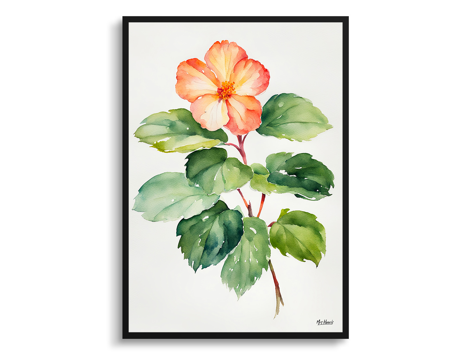 Begonia Minimalist Watercolour Botanical Art Print - Wax semperflorens Framed Plant Wall Art 3 Begonia Minimalist Watercolour Botanical Art Print - Wax semperflorens Framed Plant Wall Art