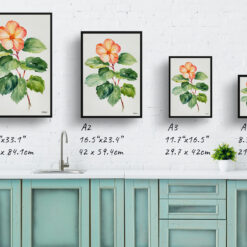 Begonia Minimalist Watercolour Botanical Art Print - Wax semperflorens Framed Plant Wall Art 9 watercolour botanical print flowers begonia minimalist print size comparison