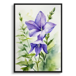 Bellflower Watercolour Botanical Art Print -  Canterbury-bells Framed Plant Wall Art