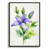 Bellflower Minimalist Watercolour Botanical Art Print - Canterbury-bells Framed Plant Wall Art 1 watercolour botanical print flowers bellflower minimalist front view
