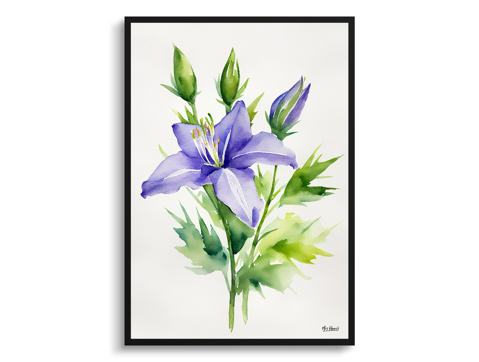 Bellflower Minimalist Watercolour Botanical Art Print - Canterbury-bells Framed Plant Wall Art 3 Bellflower Minimalist Watercolour Botanical Art Print - Canterbury-bells Framed Plant Wall Art