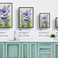 watercolour botanical print flowers bellflower print size comparison