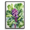Brassica Oleracea Watercolour Botanical Art Print - Brussels sprouts Framed Plant Wall Art 2 watercolour botanical print flowers brassica oleracea var gemmifera rubine front view