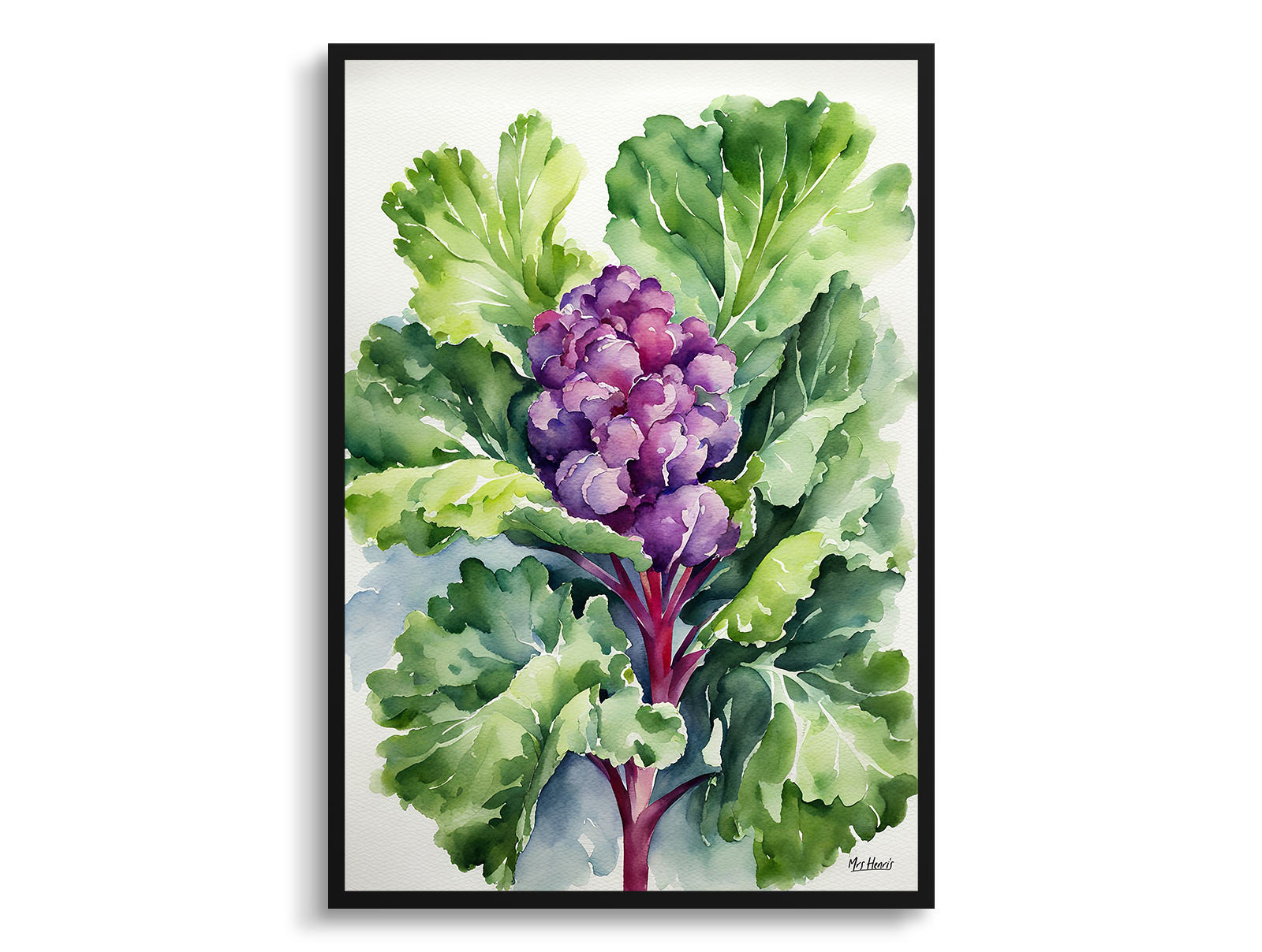 Brassica Oleracea Watercolour Botanical Art Print - Brussels sprouts Framed Plant Wall Art 3 Brassica Oleracea Watercolour Botanical Art Print - Brussels sprouts Framed Plant Wall Art