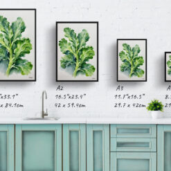 Brassica Oleracea Minimalist Watercolour Botanical Art Print - Brussels sprouts Framed Plant Wall Art 9 watercolour botanical print flowers brassica oleracea var gemmifera rubine minimalist print size comparison