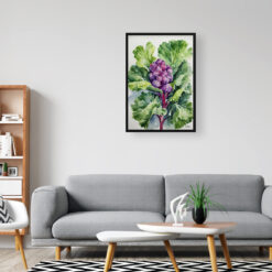 Brassica Oleracea Watercolour Botanical Art Print - Brussels sprouts Framed Plant Wall Art 8 watercolour botanical print flowers brassica oleracea var gemmifera rubine office