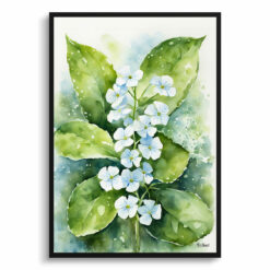 Brunnera Macrophylla Watercolour Botanical Art Print - Boraginaceae Framed Plant Wall Art