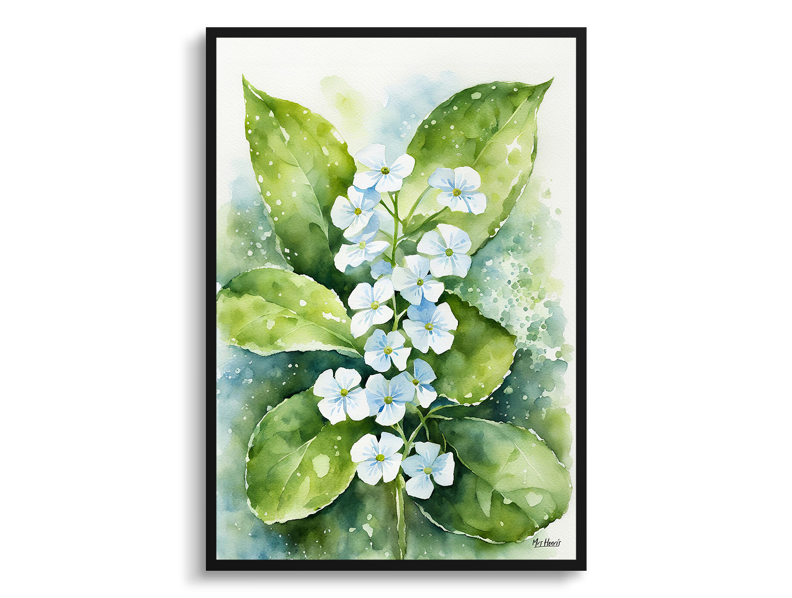 Brunnera Macrophylla Watercolour Botanical Art Print - Boraginaceae Framed Plant Wall Art 3 Brunnera Macrophylla Watercolour Botanical Art Print - Boraginaceae Framed Plant Wall Art