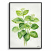 Brunnera Macrophylla Minimalist Watercolour Botanical Art Print - Boraginaceae Framed Plant Wall Art 1 watercolour botanical print flowers brunnera macrophylla betty bowring boraginaceae minimalist front view