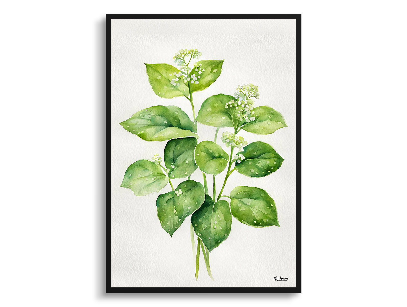 Brunnera Macrophylla Minimalist Watercolour Botanical Art Print - Boraginaceae Framed Plant Wall Art 3 Brunnera Macrophylla Minimalist Watercolour Botanical Art Print - Boraginaceae Framed Plant Wall Art