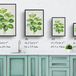 Brunnera Macrophylla Minimalist Watercolour Botanical Art Print - Boraginaceae Framed Plant Wall Art 9 watercolour botanical print flowers brunnera macrophylla betty bowring boraginaceae minimalist print size comparison
