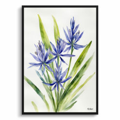 Camassia Leichtlinii Minimalist Watercolour Botanical Art Print - Camas Framed Plant Wall Art