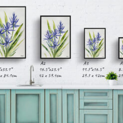 watercolour botanical print flowers camassia leichtlinii subsp minimalist print size comparison