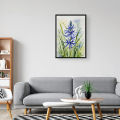 watercolour botanical print flowers camassia leichtlinii subsp office