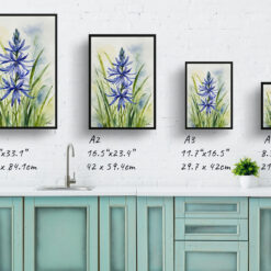 watercolour botanical print flowers camassia leichtlinii subsp print size comparison