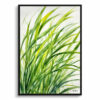 Carex Oshimensis Everillo Watercolour Botanical Art Print - Japanese Sedge Framed Plant Wall Art 2 watercolour botanical print flowers carex oshimensis everillo front view