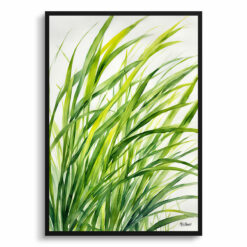 Carex Oshimensis Everillo Watercolour Botanical Art Print - Japanese Sedge Framed Plant Wall Art