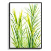 watercolour botanical print flowers carex oshimensis everillo minimalist front view