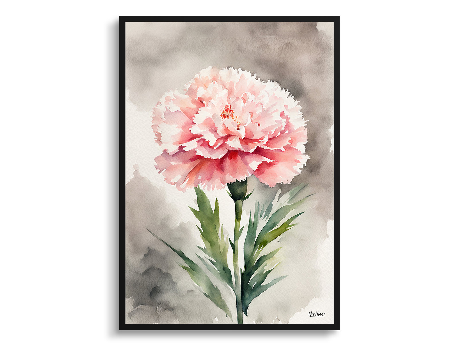 Carnation Watercolour Botanical Art Print - Gillyflower Framed Plant Wall Art 3 Carnation Watercolour Botanical Art Print - Gillyflower Framed Plant Wall Art