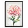 watercolour botanical print flowers carnation minimalist front view