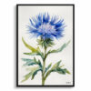 Centaurea cyanus Blue Boy Minimalist Watercolour Botanical Art Print - Cornflower Framed Plant Wall Art 1 watercolour botanical print flowers centaurea cyanus blue boy minimalist front view