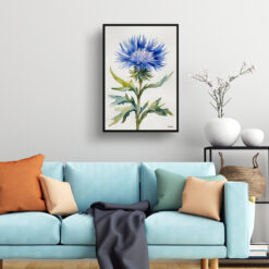 watercolour botanical print flowers centaurea cyanus blue boy minimalist living room