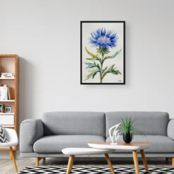 watercolour botanical print flowers centaurea cyanus blue boy minimalist office