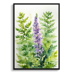 Cheilanthes Lanosa Watercolour Botanical Art Print -  Woolly Lip Fern Framed Plant Wall Art