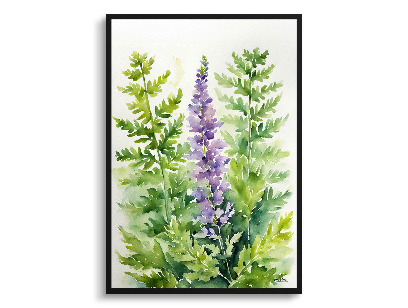 Cheilanthes Lanosa Watercolour Botanical Art Print - Woolly Lip Fern Framed Plant Wall Art 3 Cheilanthes Lanosa Watercolour Botanical Art Print - Woolly Lip Fern Framed Plant Wall Art