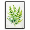 Cheilanthes Lanosa Minimalist Watercolour Botanical Art Print - Woolly Lip Fern Framed Plant Wall Art 2 watercolour botanical print flowers cheilanthes lanosa minimalist front view