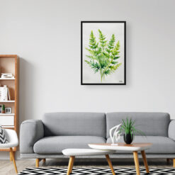 Cheilanthes Lanosa Minimalist Watercolour Botanical Art Print - Woolly Lip Fern Framed Plant Wall Art 8 watercolour botanical print flowers cheilanthes lanosa minimalist office
