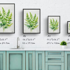 Cheilanthes Lanosa Minimalist Watercolour Botanical Art Print - Woolly Lip Fern Framed Plant Wall Art 9 watercolour botanical print flowers cheilanthes lanosa minimalist print size comparison