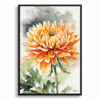watercolour botanical print flowers chrysanthemum front view