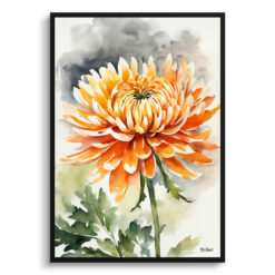 Chrysanthemum Watercolour Botanical Art Print - Asteraceae Framed Plant Wall Art