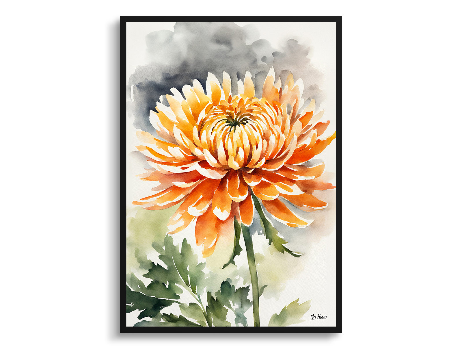 Chrysanthemum Watercolour Botanical Art Print - Asteraceae Framed Plant Wall Art 3 Chrysanthemum Watercolour Botanical Art Print - Asteraceae Framed Plant Wall Art