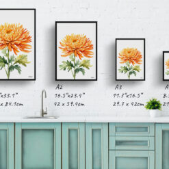 watercolour botanical print flowers chrysanthemum minimalist print size comparison